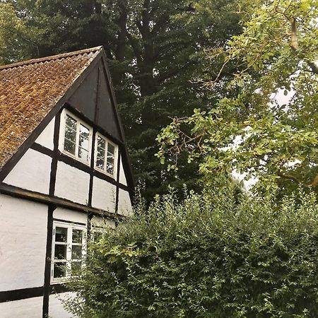 Hvidegaard Mon Hotel Stege Bagian luar foto