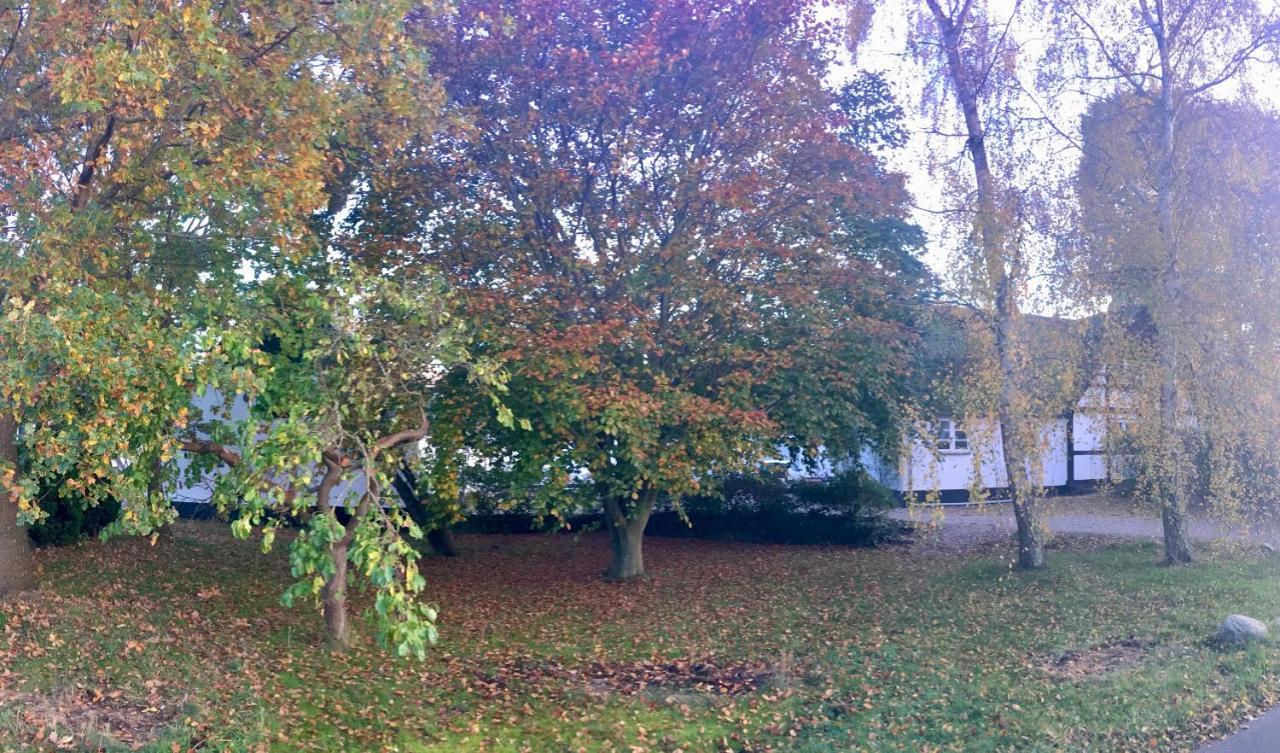 Hvidegaard Mon Hotel Stege Bagian luar foto