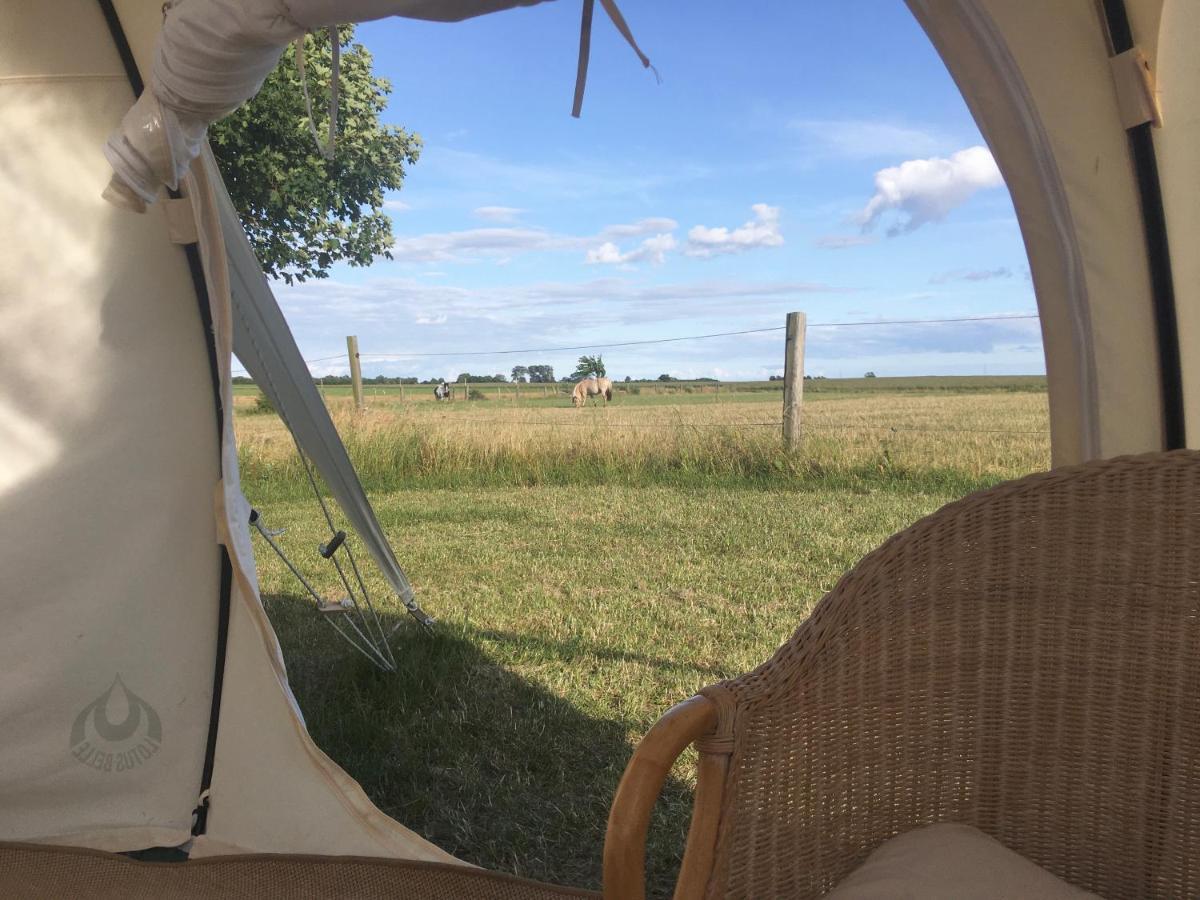 Hvidegaard Mon Hotel Stege Bagian luar foto